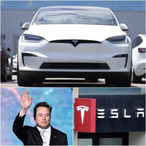 Tesla profits slide 16%, despite Elon Musk’s pivot back to his companies
