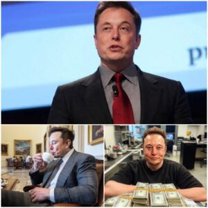 A 10-Second Apology Just Made Elon Musk $191 Million — You Won’t Believe What He Said!