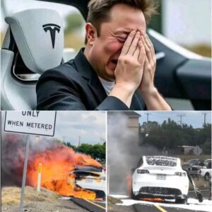 A man tragically lost his life in a fire while driving a Tesla, and Elon Musk is now facing significant criticism. One of these criticisms is even impacting his family.