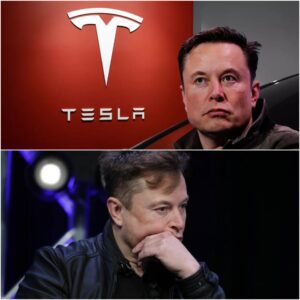 Tesla chief Elon Musk warns of 'few rough quarters' after profit plunge