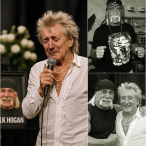 🖤 Rod Stewart stuns 70,000 fans as he steps on stage and performs “Let Me Hear You Scream” in honor of Hulk … The crowd was silent. Then came the tears.