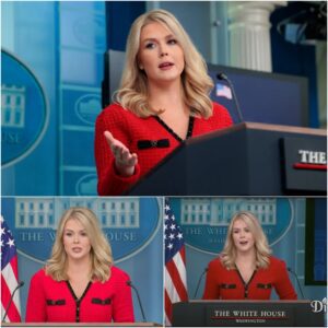 ‘It Is NOT Working’: Karoline Leavitt Upends Press Corps Efforts To ‘Sow Distrust’ In Trump Admin