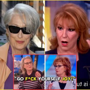 Meryl Streep Kicked Off The View After Heated Argument With Joy Behar! n