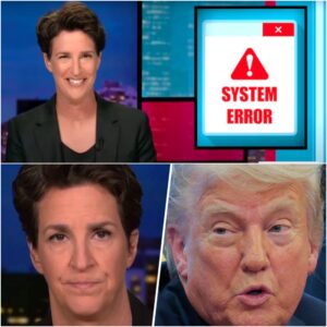 Maddow Cracks Up at MAGA Bots ‘Melting Down’ on Epstein