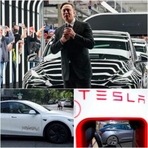Is Elon Musk to blame for Tesla's struggles? Experts weigh in