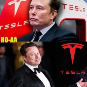 Book review ELON MUSK'S BIOGRAPHY - a lost child in the form of a billionaire... - ws