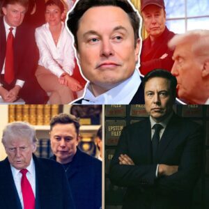 ‘They Tried to Hide It’: Elon Musk Uncovers the Dark Secrets Behind the Epstein Files — And It’s Worse Than We Thought! ws