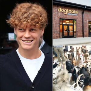 🐶 Jannik Sinner calls it “Dogtopia” — a vast 15-hectare facility under construction near Bologna, backed by a $5 million investment from him. It’s not just a shelter, but a healing center for abused, abandoned, or traumatized dogs.