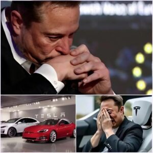 BREAKING NEWS: Elon Musk’s DEVASTATING Announcement Leaves SpaceX Employees in Tears! “I Beg You…” Fans Form Emergency Prayer Circles as He Reveals the UNIMAGINABLE… Is This the END? You Won’t Believe What He’s Hiding…