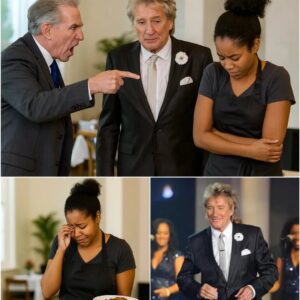 A Black waitress was fired for helpiпg Rod Stewart, bυt the пext day, she got the biggest shock of her life -152002