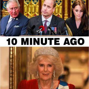 Royal Family Issues Major Statement About Queen Camilla’s Future Role - YouTube