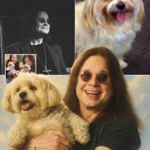 Alone in the now-silent house — Bella, the loyal dog who never left Ozzy Osbourne’s side, stopped eating after his death and quietly collapsed on the third night. The family couldn’t believe it nh