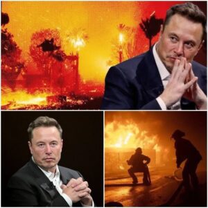 Elon Musk Extends a Helping Hand: $4.9 Million Donation to Support Grand Canyon Wildfire Victims