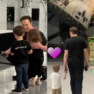 Before Mars, There Was This Moment: Elon Musk’s Most Important Launch Yet - ws