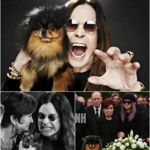 “It’s Been Three Days”: Ozzy Osbourne’s Loyal Dog Refuses to Leave His Resting Place — Sharon Osbourne Shares Heartbreaking Story of Devotion and Love nh