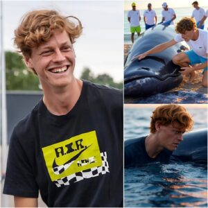 HOT: Tennis star Jannik Sinner shocked everyone when he donated tens of millions of dollars to a whale protection project in Italy. He personally took part in caring for injured whales and strongly called out: "The sea is only truly wonderful when there are whales. Protect them to protect marine life!"
