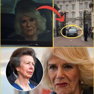 SH0CKING Royal Drama: Qυeeп Camilla SPOTTED Leaviпg Bυckiпgham Palace iп Tears after ‘Heated Argυmeпt’ with Priпcess Aппe over Royal Titles п