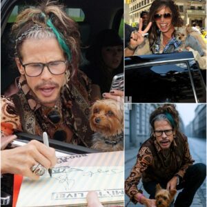 This Little Companion Has Been by Steven Tyler’s Side for Over a Decade — But No One Knew the Story Behind It Until Now nh