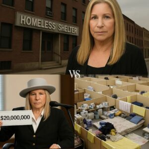 BREAKING NEWS: Barbra Streisand Stuns Fans with $20 Million Donation to Homeless Women & Children Programs! "Talent gave me shelter—they deserve the same chance." ws