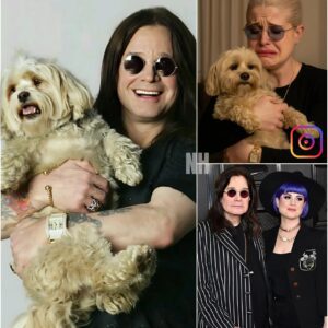 Kelly Osbourne Sparks Social Media Frenzy with Shocking Update on Ozzy Osbourne's Pet Health After His Passing nh