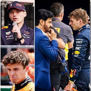 Lando Norris caused a stir on social media after claiming that Red Bull's victory was down to luck and favouritism from the FIA ​​and stewards.