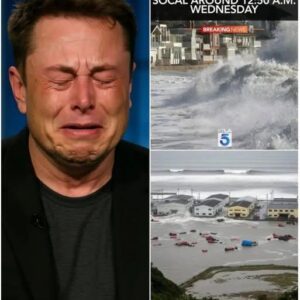 HEARTBREAK ON LIVE TV: Elon Musk BREAKS DOWN in TEARS Revealing Tragic LOSS of Family Member in Hawaii Tsunami — “I Couldn’t Save Them,” He Whispers as Viewers Across America Go Silent…