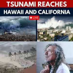 BREAKING: Moments Before Hawaii’s Tsunami Strikes, Rock Legend Robert Plant Says One Sentence That Brings America to Tears…