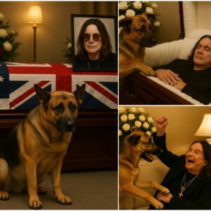 “The Bark That Broke Millions of Hearts: Ozzy Osbourne’s Dog Gives a Farewell You’ll Never Forget…”