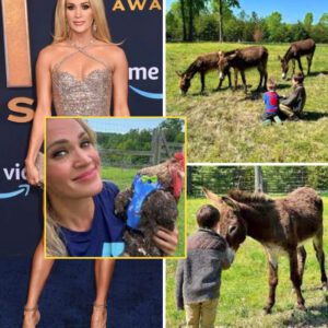 Inside Carrie Underwood’s $3M Farm: Bees and Sick Roosters Take Over - NGL