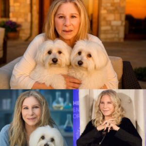 Shock: Barbra Streisand Secretly Cloned Her Dog Samantha That Died in 2017 — But Why Did She Do It, and What Awaits the Two New Pups (Scarlett and Violet) as Science Still Has No Clear Answers? ws