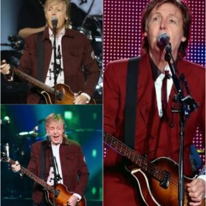 BREAKING: At 82, Paul McCartney Has Made a Surprise Announcement That He’s Finally Admitted What We’ve All Suspected
