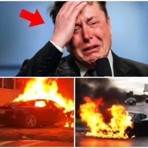 🔥UPDATED: A Man Reportedly “Killed” in Tesla Car Fire — Elon Musk Faces Fierce Backlash! A Shocking Allegation Is Dragging His Entire Family Into a Media Storm. And Why Does Musk Remain Silent…?