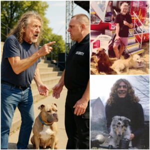 obert Plant Once Tried to Bring His Dog Onstage — But Security Stopped Him nabeo