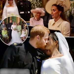A Never-Before-Seen Royal Moment Just Shook the Internet: Kate Middleton’s Silent Piano Tribute Leaves St. George’s Chapel Breathless...