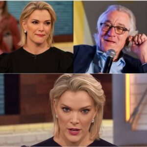 “I don’t care what you think of me.” Robert De Niro silenced Megyn Kelly live on air with eight words that didn’t just quiet the studio—they shifted the energy