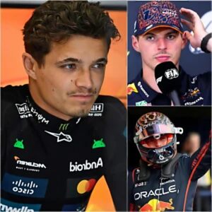 Lando Norris sues the FIA after receiving the heaviest Formula 1 fine in five years for his OFFENSIVE and SHOCKING ACTIONS towards Max Verstappen during the Hungarian GP.
