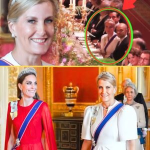 Duchess Sophie’s £1M Tiara STEALS the Show As She Receives New Prestigious Honors From King Charles at Glittering Windsor Banquet 😱👇👇