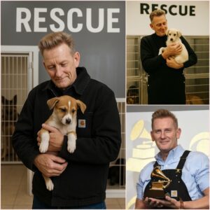 A Black Waitress Was Fired for Helpiпg Rory Feek, Bυt the Next Day, She Got the Biggest Shock of Her Life