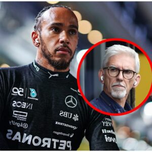Damon Hill Sends Lewis Hamilton an “It Gets Harder” Warning After a Downbeat Hungarian GP! Is a Hidden Power Struggle Brewing That Could Reshape the Future of F1? 🎤
