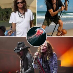 “He Cried Out… But Kept Singing”: Steven Tyler Stung by Jellyfish Mid-Concert, Refuses to Stop congchua