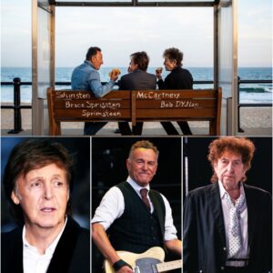 On a fog-draped afternoon in Asbury Park, Bruce Springsteen, Paul McCartney, and Bob Dylan sat quietly on a weathered bench, sharing fish sandwiches