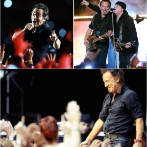 At The 2009 Super Bowl XLIII Halftime Show, Bruce Springsteen And The Legendary E Street Band Unleashed A High-Voltage Performance That Mesmerized Audiences Worldwide.