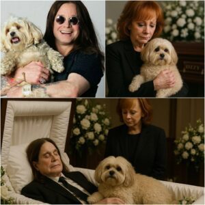 Reba McEntire Adopts Ozzy Osbourne’s Loyal Lhasa Apso in a Heartfelt Farewell: A Tribute to the Rock Legend - congchua