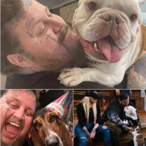 BREAKING: Jelly Roll’s Heartbreaking Confession About His Beloved Bulldog Rufus Leaves Fans in Tears...vcl