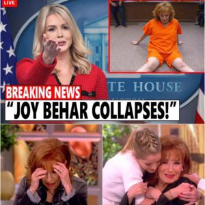 Joy Behar Collapses in Court After Losing $800M Lawsuit to Karoline Leavitt!