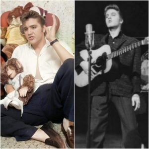 Elvis Presley - Jυdy - Goldeп Mυsic Playlists...LU