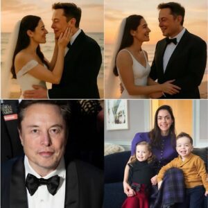 INTERNET EXPLODES: Secret Beach WEDDING of Elon Musk Leaked — and a Shadowy Power Player in the Background Has Everyone Freaking Out!!! nabeo