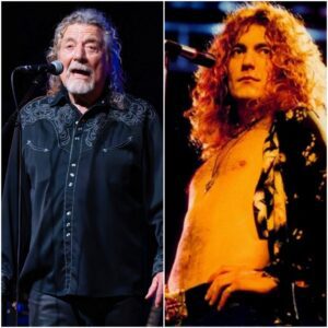 The singers Robert Plant studied to become a music icon nabeo