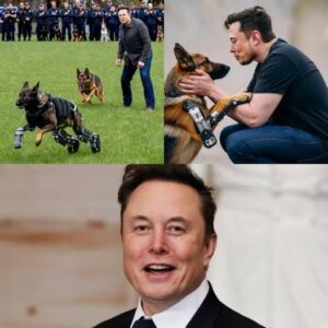 MUSKโS MIRACLE: Elon Musk Funds Life-Changing Tech for Injured Police DogsโWhat Happens Next Has the Whole World Cheering ๐ถ