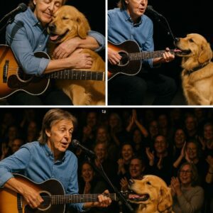 A Heartfelt Farewell: Paul McCartney’s Emotional Tribute to Beloved Dog Marley at Final Tour Concert nh